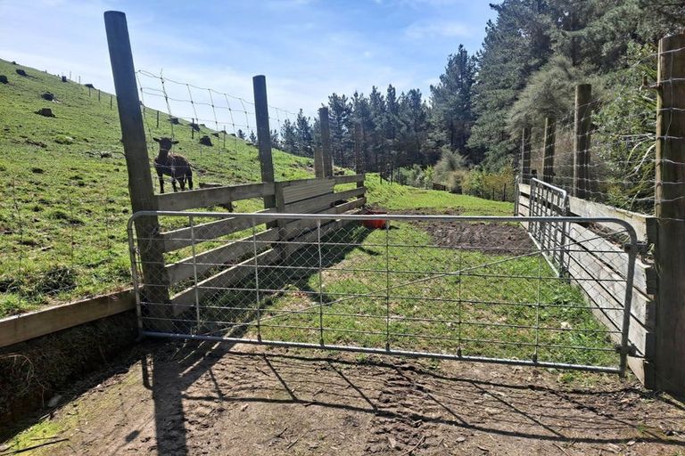 Photo of property in 319 Crownthorpe Settlement Road, Crownthorpe, Hastings, 4179