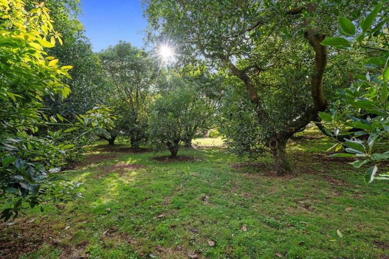 Photo of property in 496 Waitao Road, Waitao, Tauranga, 3175