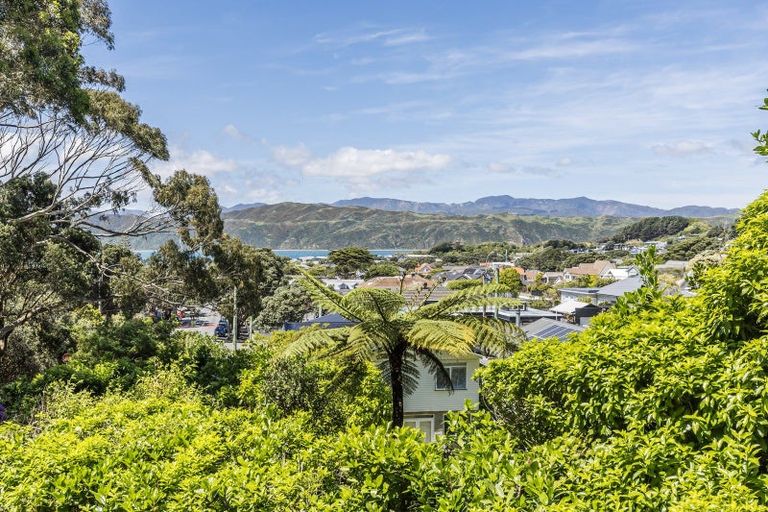 Photo of property in 96 Tio Tio Road, Seatoun, Wellington, 6022