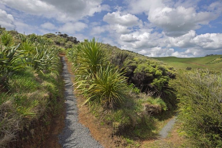 Photo of property in 1615 Whaanga Road, Raglan, 3296