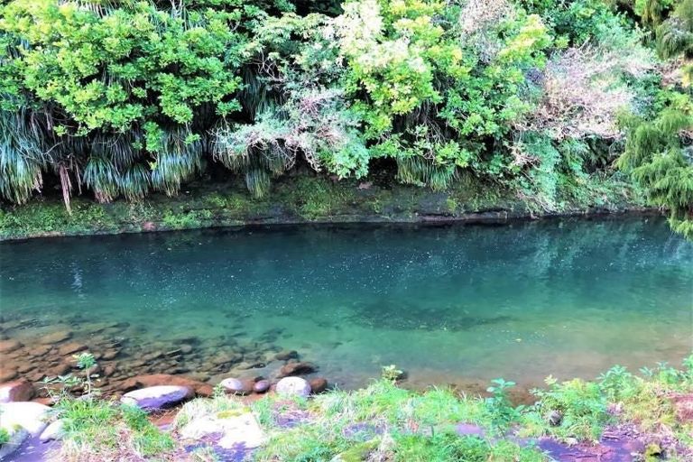 Photo of property in 280 Koru Road, Koru, New Plymouth, 4374