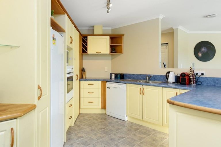 Photo of property in 205 Cheyne Road, Pyes Pa, Tauranga, 3112