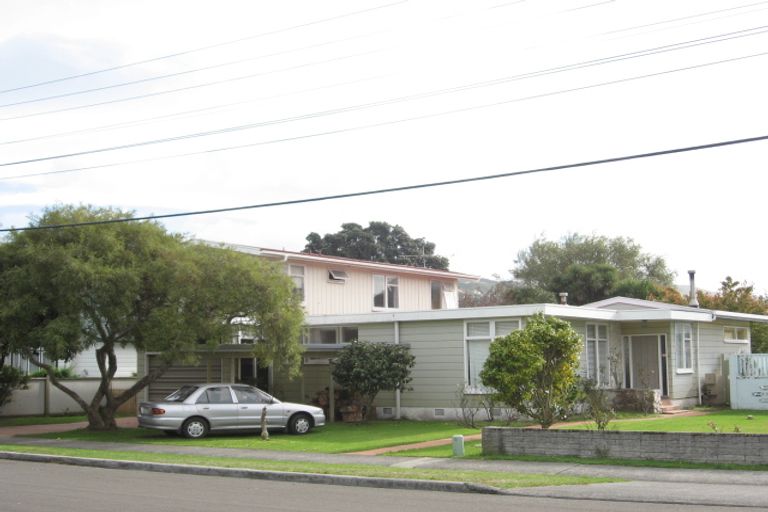 Photo of property in 17 Epuni Street, Hutt Central, Lower Hutt, 5011