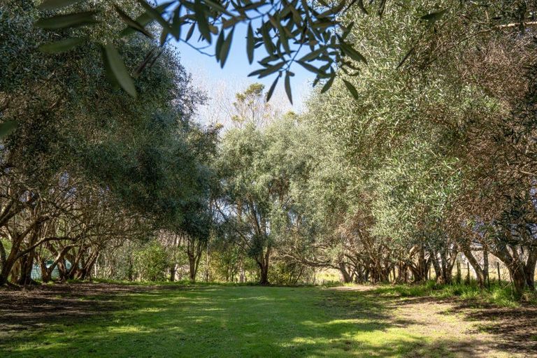 Photo of property in 46 Mahanga Road, Pataua South, Parua Bay, 0192