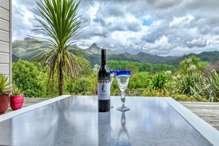 Photo of property in 101 Puketui Valley Road, Hikuai, 3579