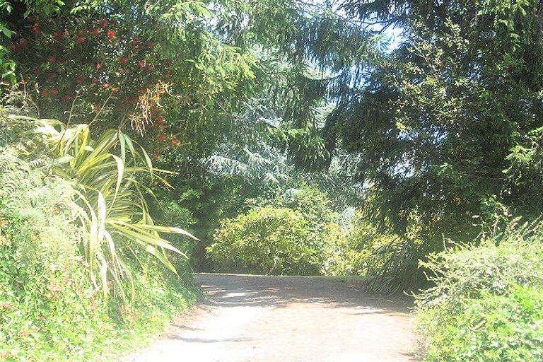 Photo of property in 229 No 2 Road, Te Puke, 3182