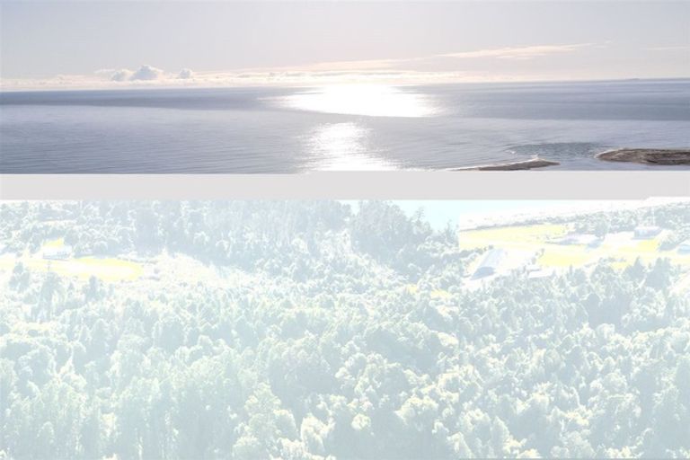 Photo of property in 23 Duncan Mcfarlane Road, Jackson Bay, Haast, 7886