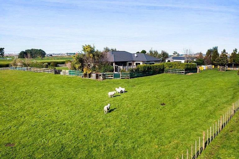Photo of property in 393 Ketemarae Road, Normanby, Hawera, 4675