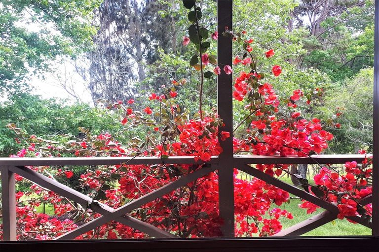 Photo of property in 102 Reid Road, Glenbrook, Waiuku, 2681