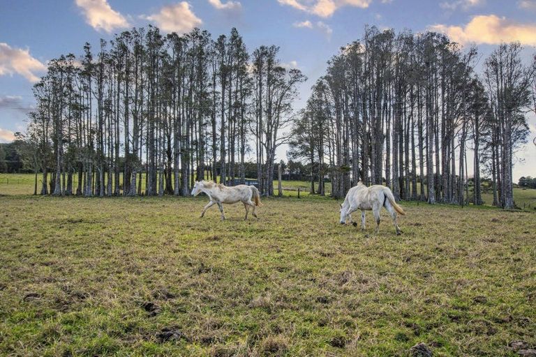 Photo of property in 99 Franklin Road, Parua Bay, Onerahi, 0192