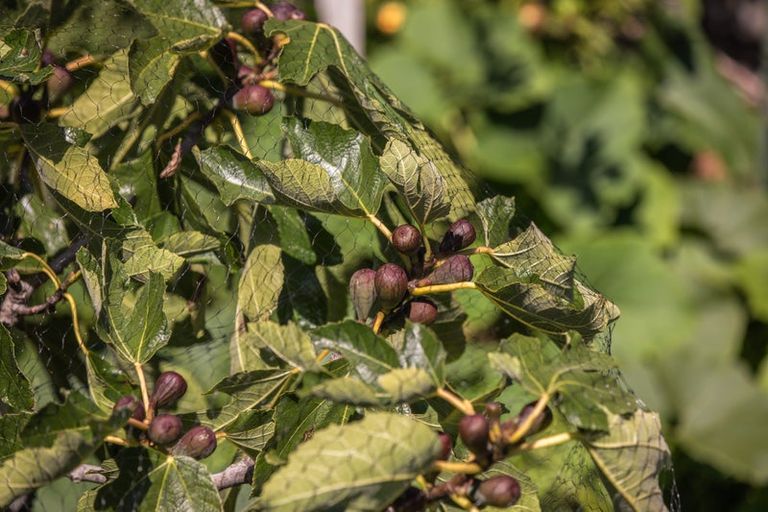 Photo of property in 73 Kotuku Drive, Paraparaumu Beach, Paraparaumu, 5032