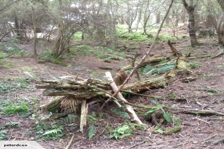 Photo of property in 524 Hayland Road, Okuku, 7473