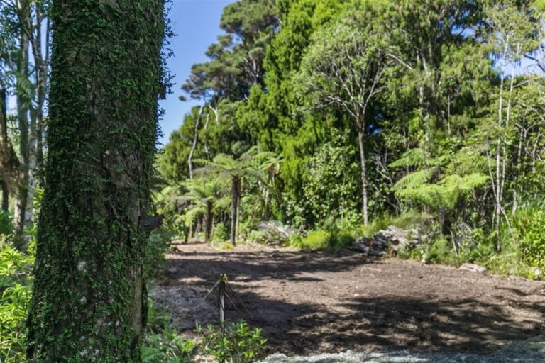 Photo of property in 747 Scenic Drive, Henderson Valley, Auckland, 0612