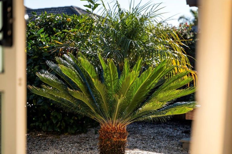 Photo of property in 134 Twin Oak Avenue, Papamoa Beach, Papamoa, 3118