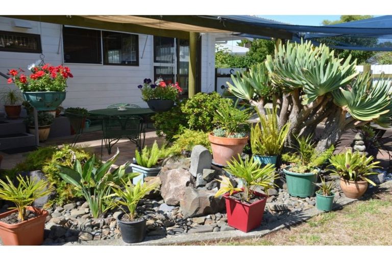Photo of property in 6 Fraser Street, Kawerau, 3127