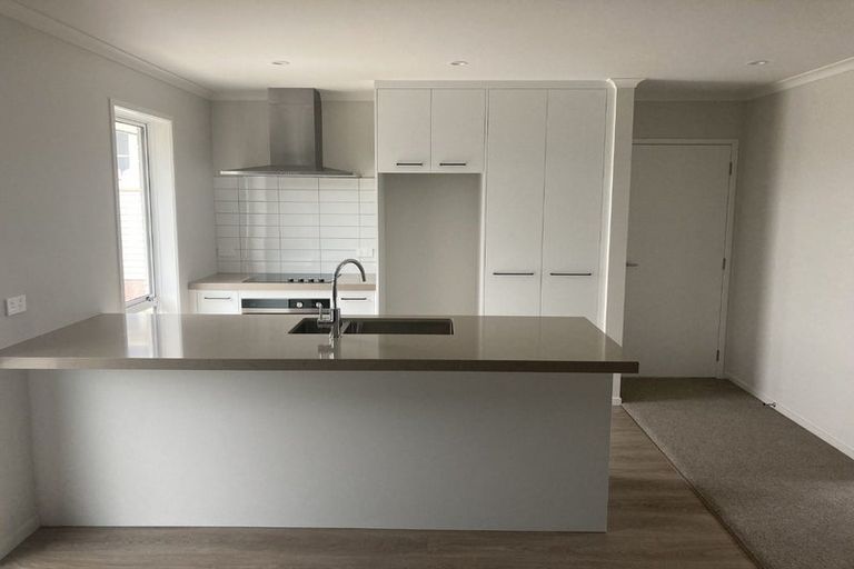 Photo of property in 39 Sare Crescent, Fairfield, Hamilton, 3214