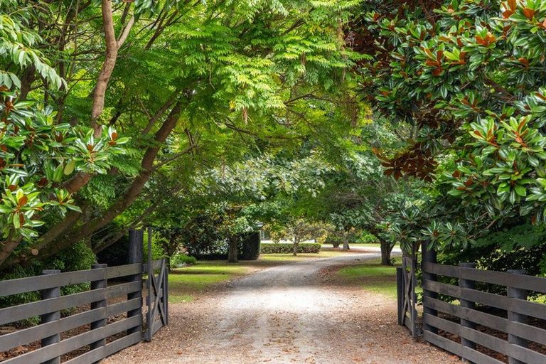 Photo of property in 116 Tuapiro Road, Tahawai, Katikati, 3170