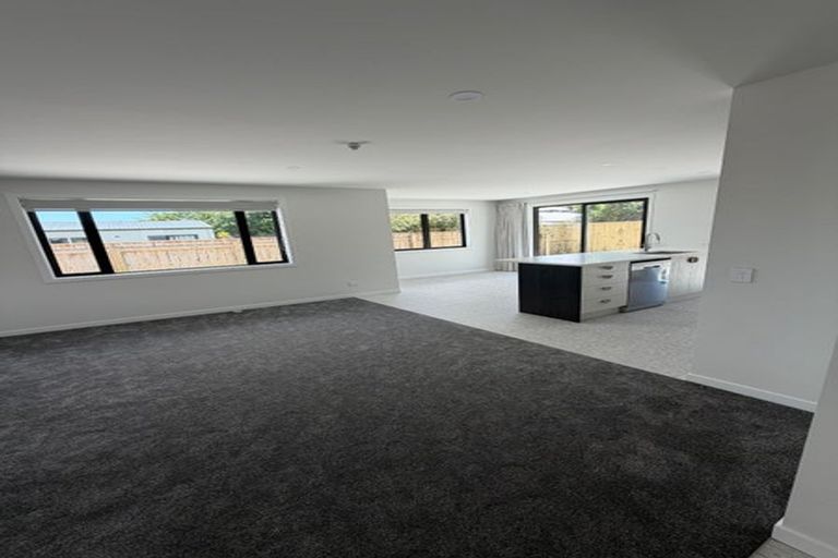 Photo of property in 14a Dudley Street, Levin, 5510