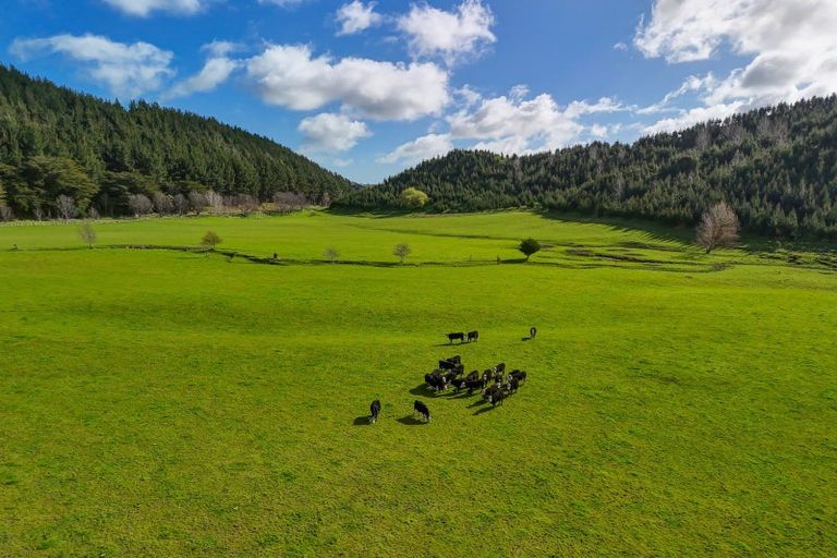 Photo of property in 1584 Brunswick Road, Kai Iwi, Whanganui, 4578