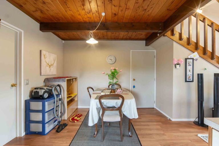 Photo of property in 19a Palmerston Street, Hamilton Central, Hamilton, 3204