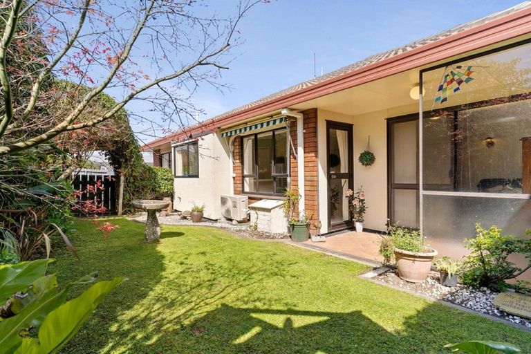 Photo of property in 18b Marwood Place, Mount Maunganui, 3116