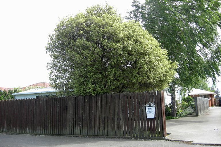 Photo of property in 73 Muller Road, Blenheim, 7201