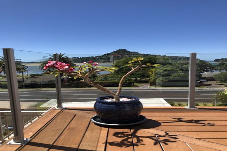 Photo of property in 169 Main Sh25 Road, Tairua, 3508