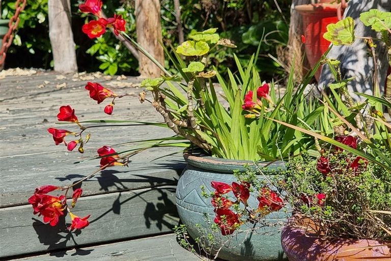 Photo of property in Willow Bay, Mahau Sound, Marlborough Sounds, 7282