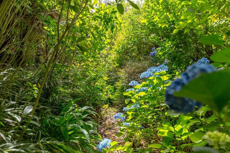 Photo of property in 7 Homestead Lane, Greytown, 5712