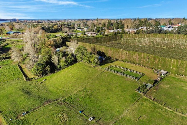 Photo of property in 115 State Highway 2, Katikati, 3170