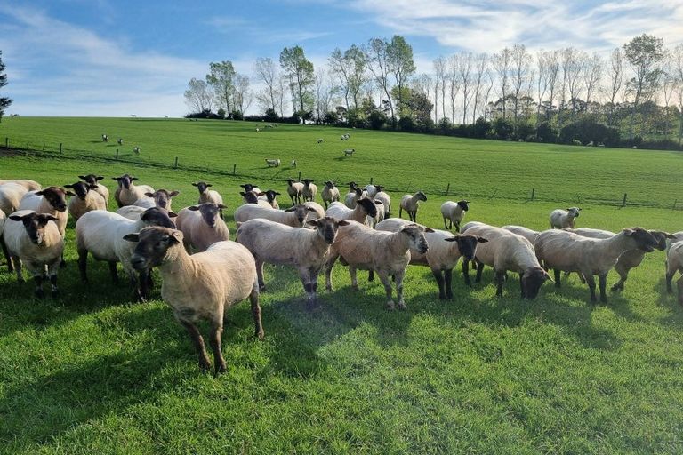 Photo of property in 1446a Clydevale Road, Clydevale, 9274