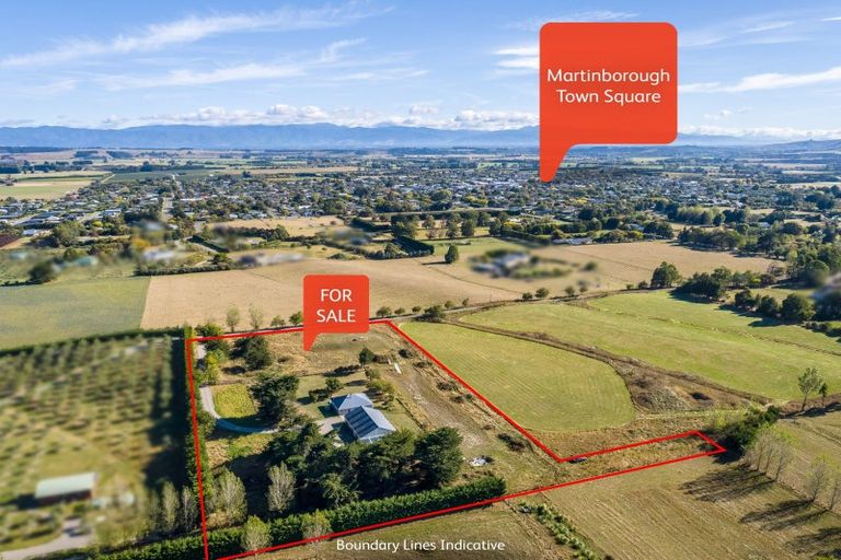 Photo of property in 144 Dublin Street, Martinborough, 5711