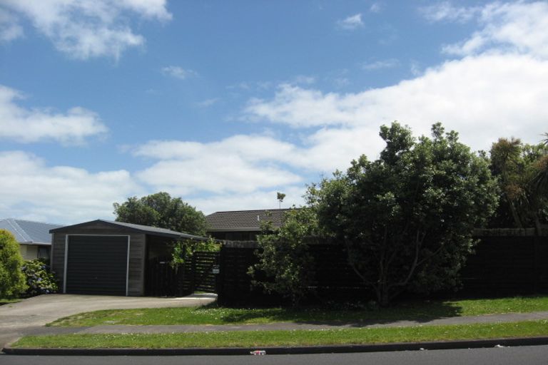 Photo of property in 185 Finlayson Avenue, Clendon Park, Auckland, 2103