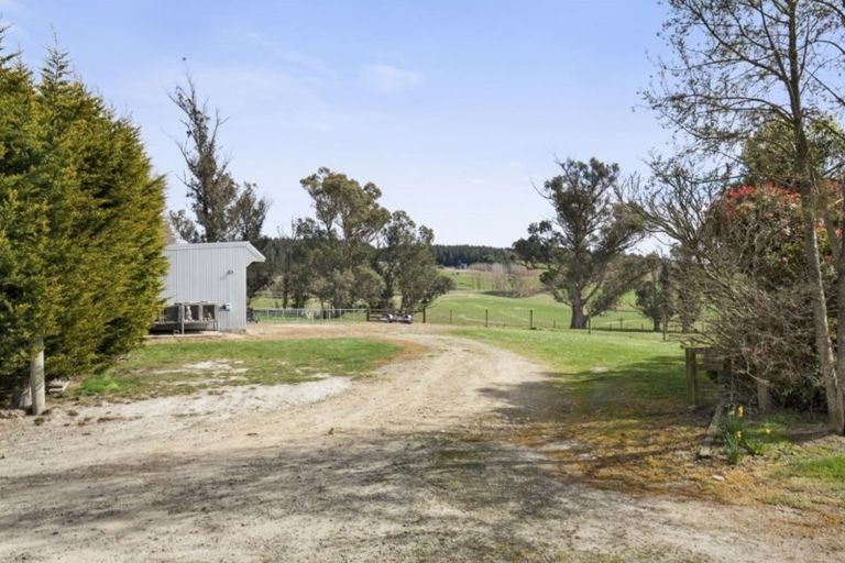 Photo of property in 204 Forestry Road, Ashley, Rangiora, 7477