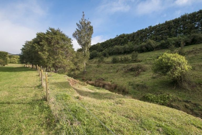 Photo of property in 294 Wharawhara Road, Tahawai, Katikati, 3178