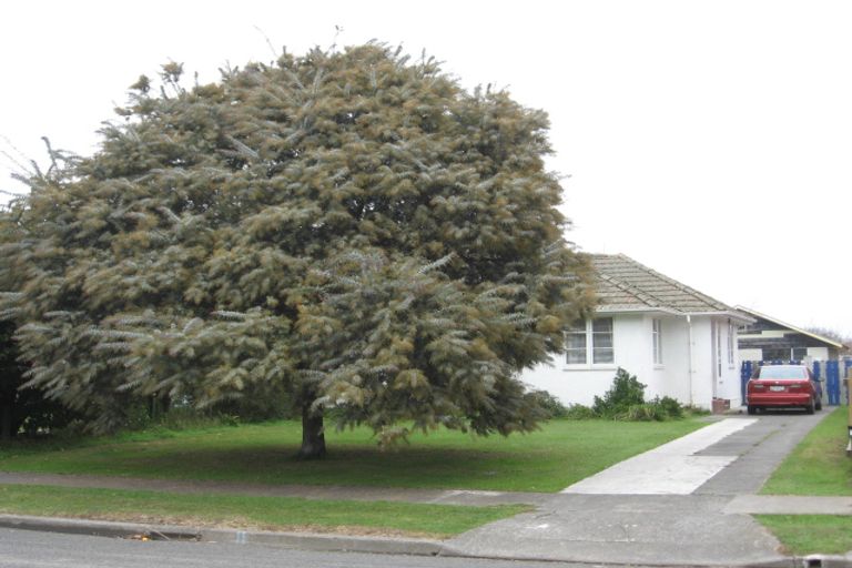 Photo of property in 19 Kettle Crescent, Marewa, Napier, 4110