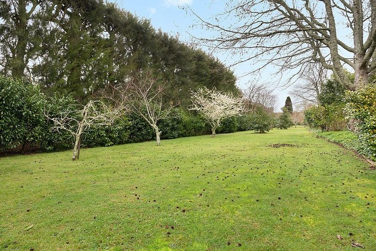 Photo of property in 29c Strathmore Drive, Aongatete, Katikati, 3178