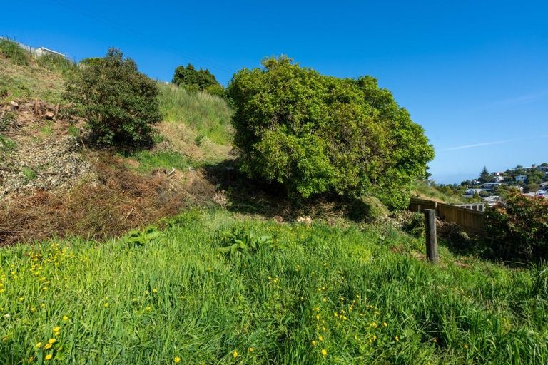 Photo of property in 16 Aitken Place, Mornington, Dunedin, 9011