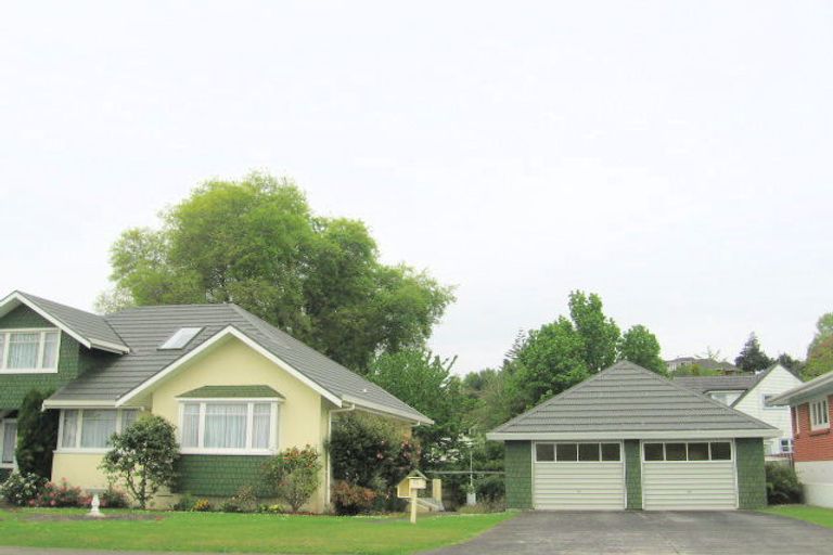 Photo of property in 54 Willoughby Street, Paeroa, 3600