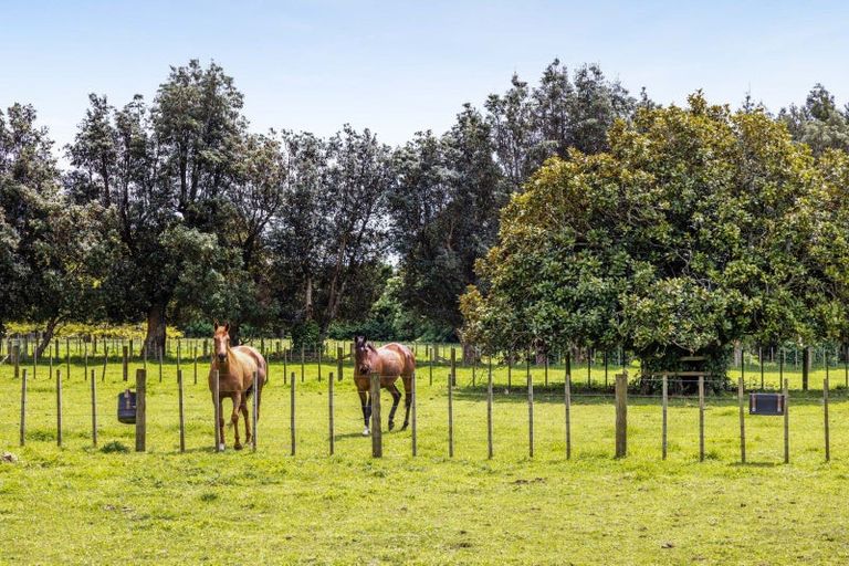 Photo of property in 200 Paraite Road, Paraite, New Plymouth, 4373