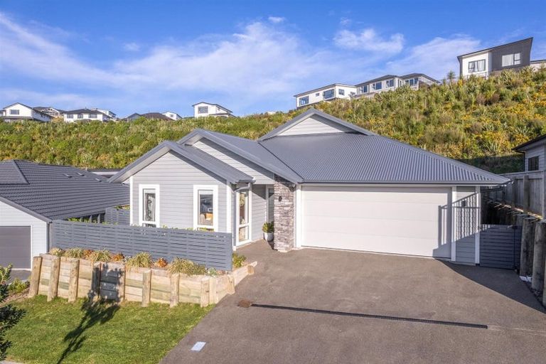 Photo of property in 45 Ken Douglas Drive, Aotea, Porirua, 5024
