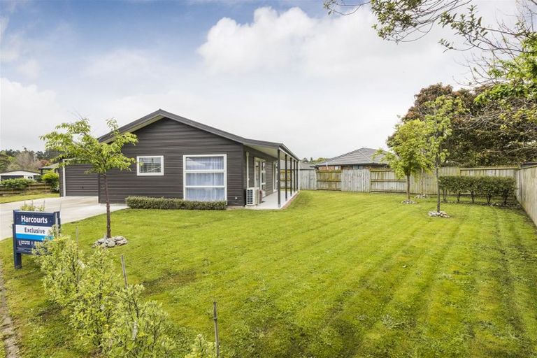 Photo of property in 137 Oxford Street, Ashhurst, 4810