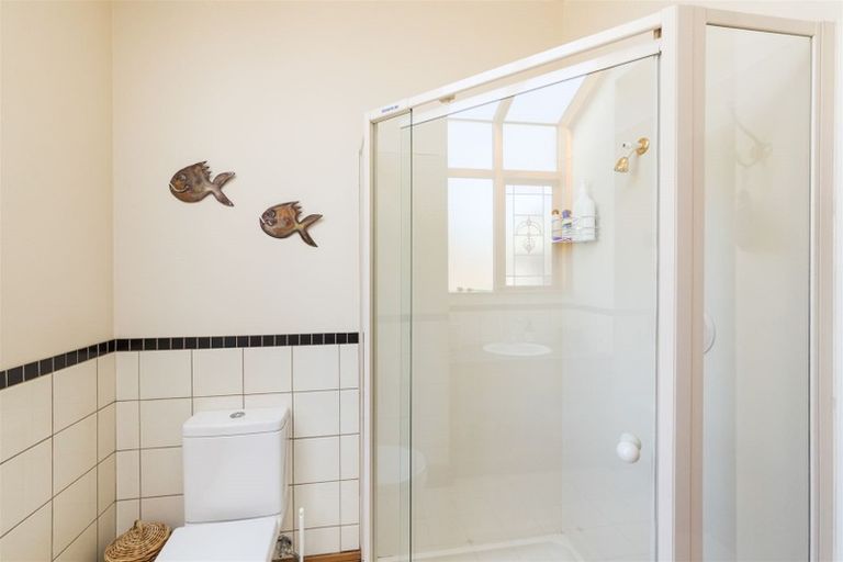 Photo of property in 125 Shirriffs Road, Awapuni, Palmerston North, 4412