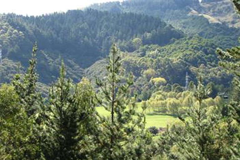 Photo of property in 57 Shelley Road, Whataupoko, Gisborne, 4010