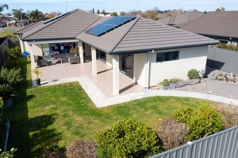 Photo of property in 228 Avondale Road, Greenmeadows, Napier, 4112