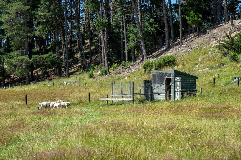 Photo of property in 125 Richardsons Road, Albury, Fairlie, 7987