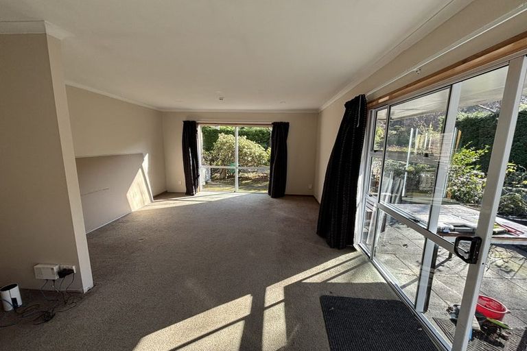 Photo of property in 164 Norwood Street, Normanby, Dunedin, 9010