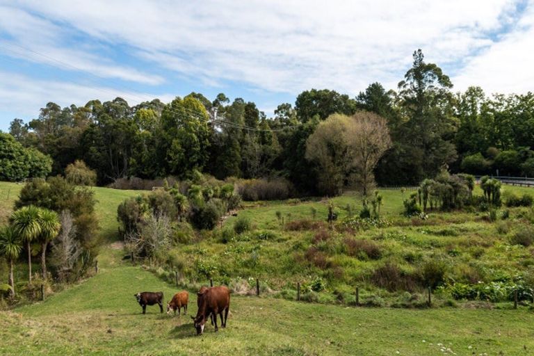 Photo of property in 80 Tuapiro Road, Tahawai, Katikati, 3170