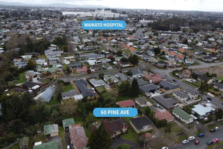 Photo of property in 60 Pine Avenue, Melville, Hamilton, 3206