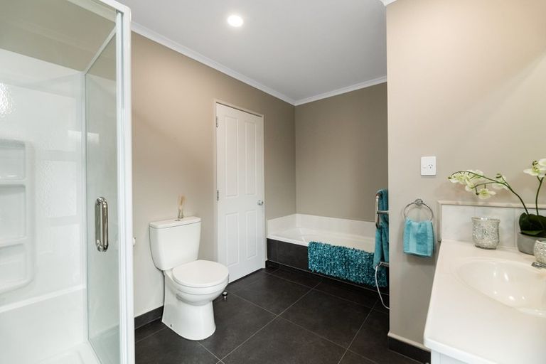 Photo of property in 203a Grenada Street, Mount Maunganui, 3116